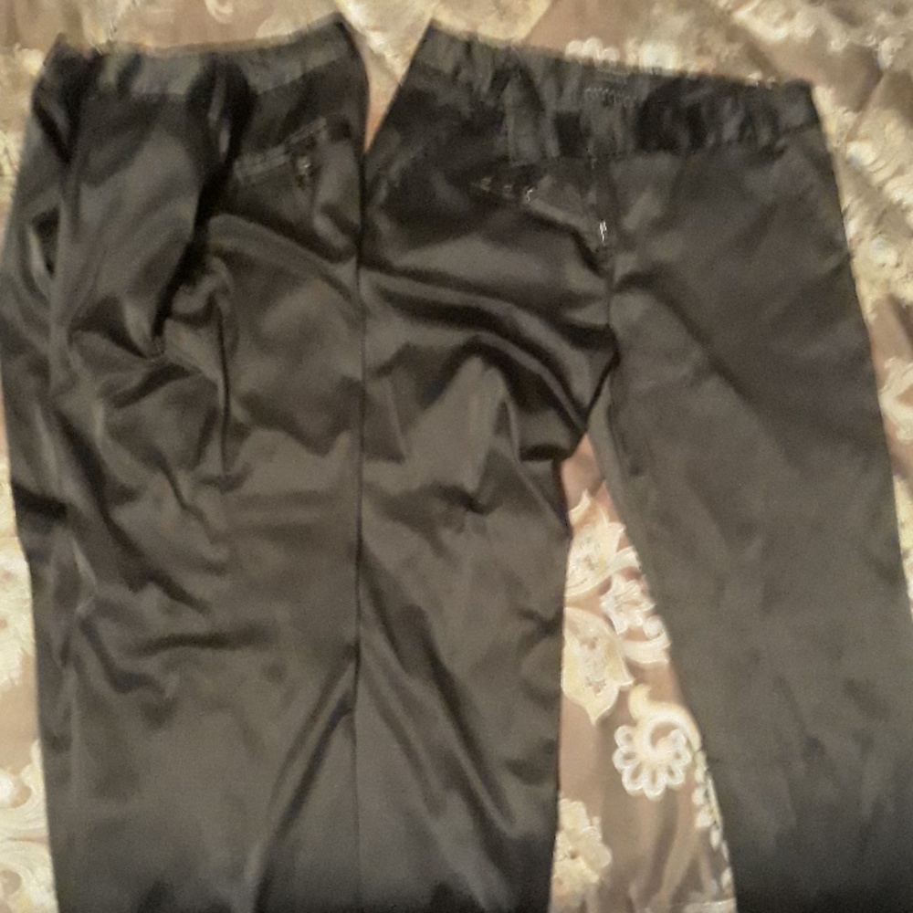 Dress pants